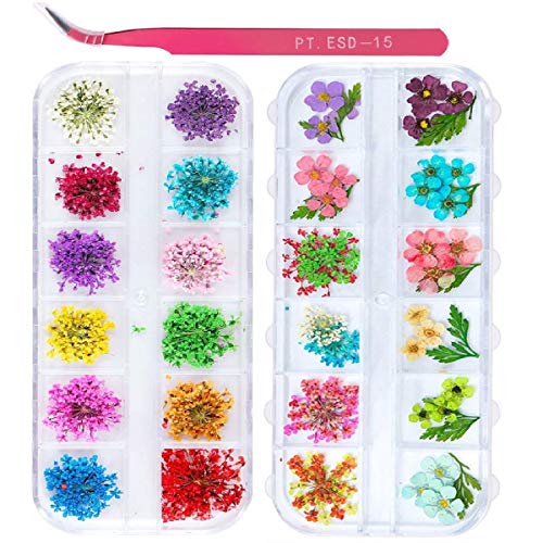 2 Kutuları Nail Art Kurutulmuş Çiçekler,UNİME 24 Renkler Kuru Çiçekler Mini Gerçek Doğal Çiçekler Nail Art Malzemeleri 3D Aplike