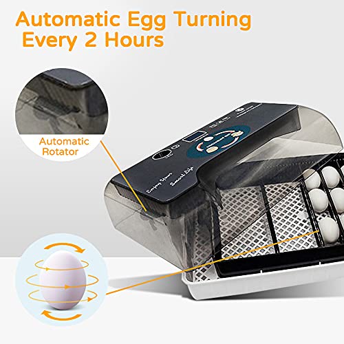 Otomatik Turner ile Kuluçkalık Yumurta kuluçka makinesi, Sıcaklık Kontrolü ile Kanatlı Kuluçka Makinesi, Mini LED 9-35 Yumurta