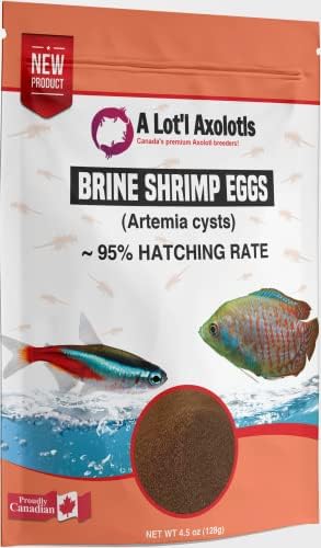 Çok Sayıda Axolotls - %95 Kuluçka Oranı AAA Salamura Karides Yumurtaları-BBS Artemia Kisti-Balık / Kızartma Yiyecekleri-100 g