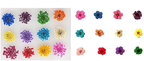 XİCHEN 120 PCS / 2 Kutuları Beş Çiçek Çiçek Üç Boyutlu Aplike 3D Tırnak Çıkartmalar Tırnak Malzemeleri Kurutulmuş çiçekler(Yıldızlı