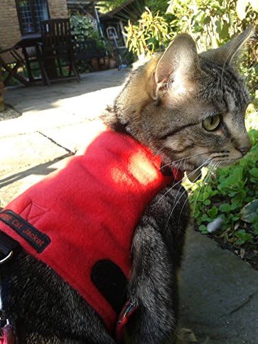Mynwood Kedi Ceket / Koşum Kırmızı Polar Yetişkin Kedi