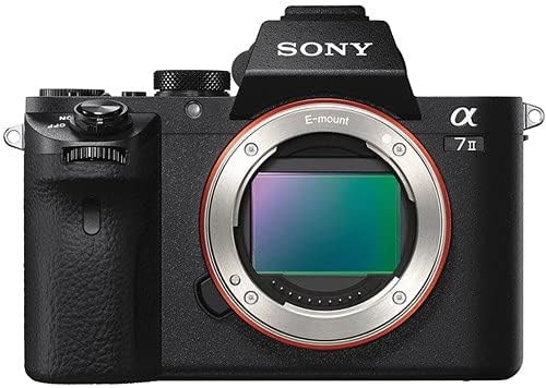 Sony a7 II aynasız kamera ile 24-70mm f / 4 Lens Video Paketi + LED Video ışığı + Mikrofon + Aşırı Hız 64 GB Bellek(20 adet Paket)