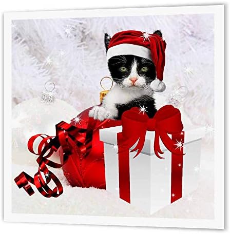 3dRose ht_62832_1 Kırmızı, Beyaz Renkte Noel Kurdele ve Süslemeli Siyah Beyaz Yavru Kedi-Beyaz Malzeme için Isı Transfer Kağıdında