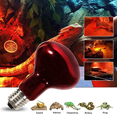 MCLANZOO 2 PCS 75 W sürüngen ısı lamba ampulü kızılötesi Basking ışık sürüngenler için & sakallı ejderha amfibi ile sopa-on dijital